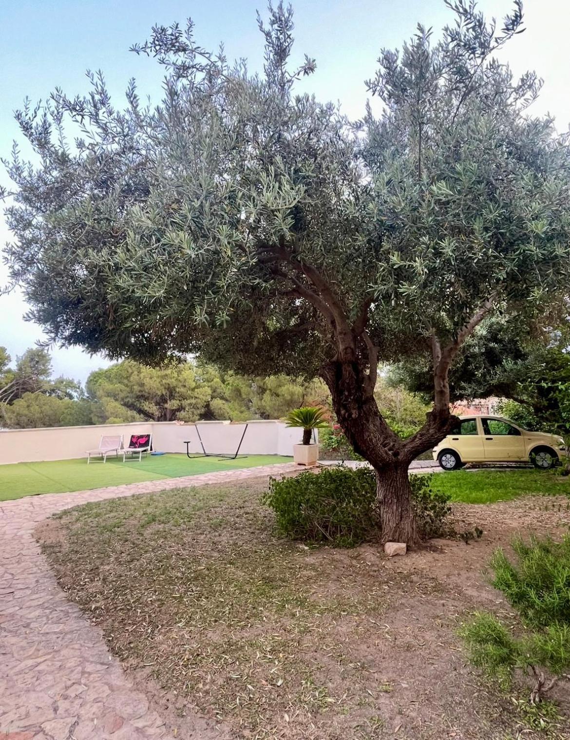 Villa Vittoria Solanas Kültér fotó
